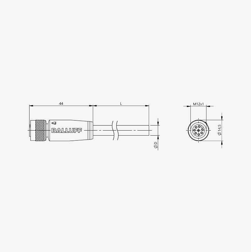 BCC0995 - Single-Ended Cordsets - Sheilded M12 Female, straight, 8pin, 5m